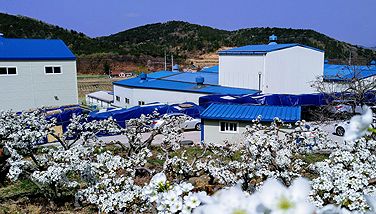 본사 및 경주공장