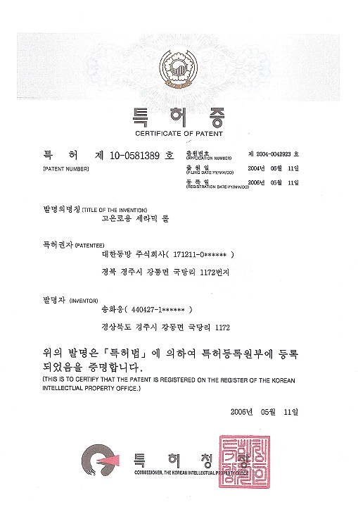 특허 제 10-0581389호