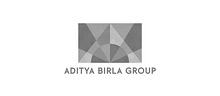 ADITYA BIRLA NOVELIS